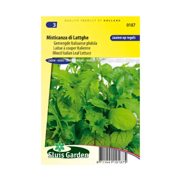 SL0187 Mixed Italian Leaf Lettuce Misticanza di Lattghe