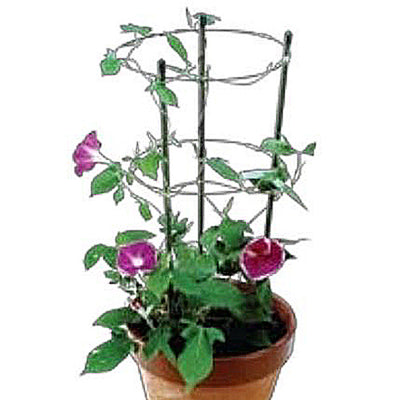 FLOWER SUPPORT WITH CIRCLE WIRE 900MM