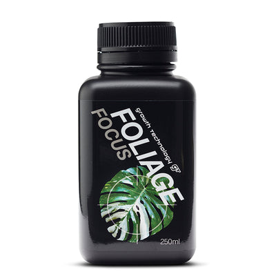 GT FOLIAGE FOCUS 250ML