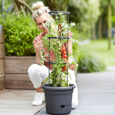 Green Basics Tomato Pot (33cm)