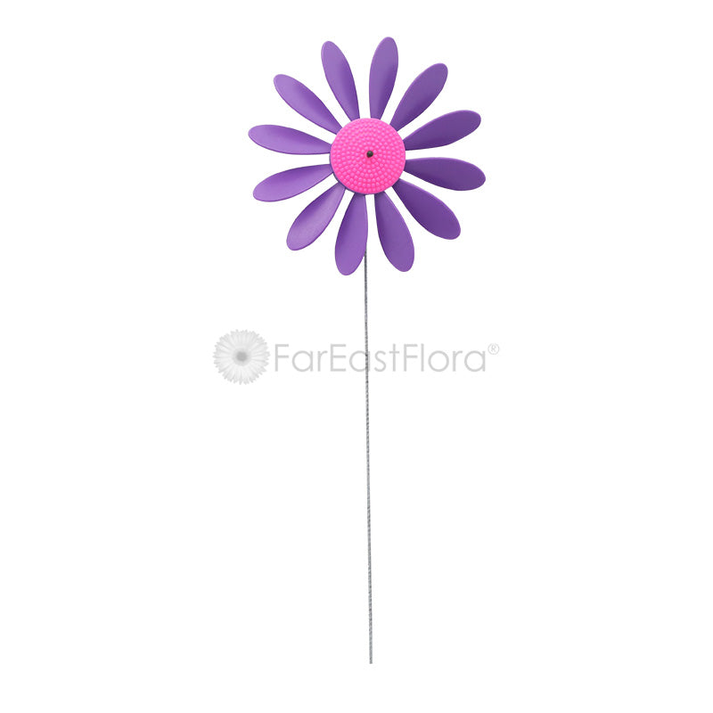 Happy Daisy - Purple