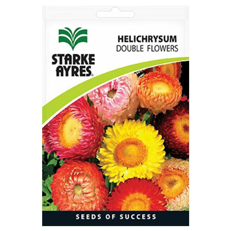 F4102 HELICHRYSUM DOUBLE FLOWERS Flower Seeds