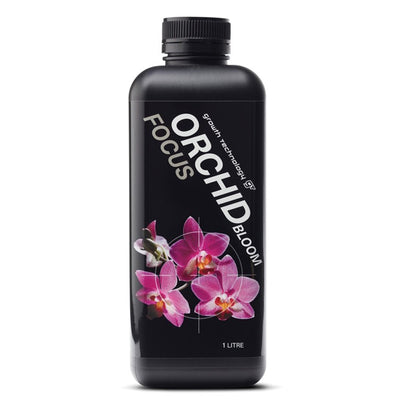 GT ORCHID BLOOM FOCUS 1L