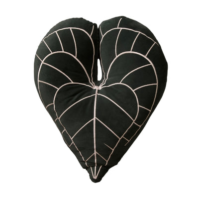 PLANT CUSHION ALOCASIA CLARINERVIUM SP-061404 (SF)