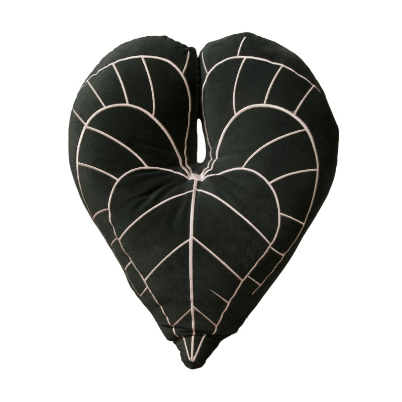 PLANT CUSHION ALOCASIA CLARINERVIUM SP-061404 (SF)