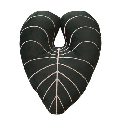 PLANT CUSHION PHILODENDRON GLORIOSUM SP-061403
