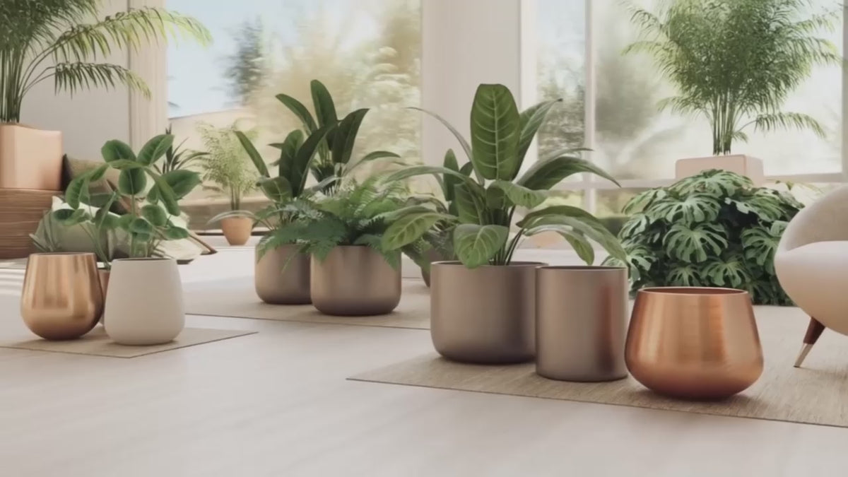 Load video: a short video showcasing plants in various pots in a home setting