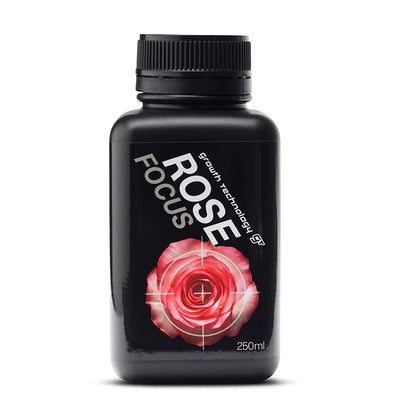 GT ROSE FOCUS 250ML