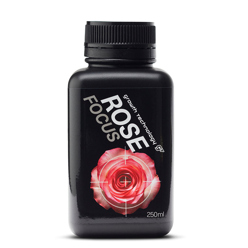 GT ROSE FOCUS 250ML