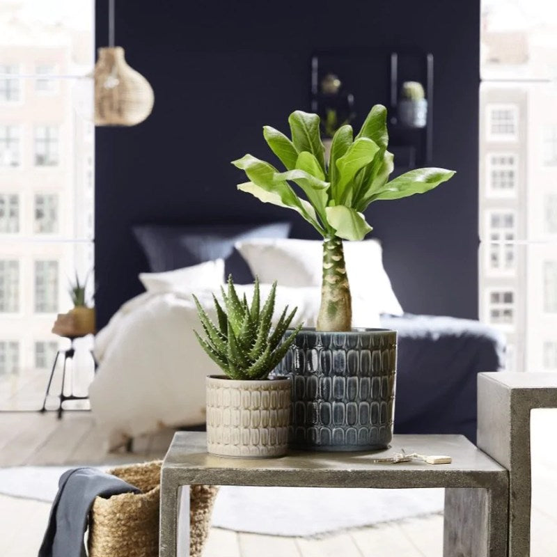 Scheurich 878 Lagom Cover Pot Lifestyle