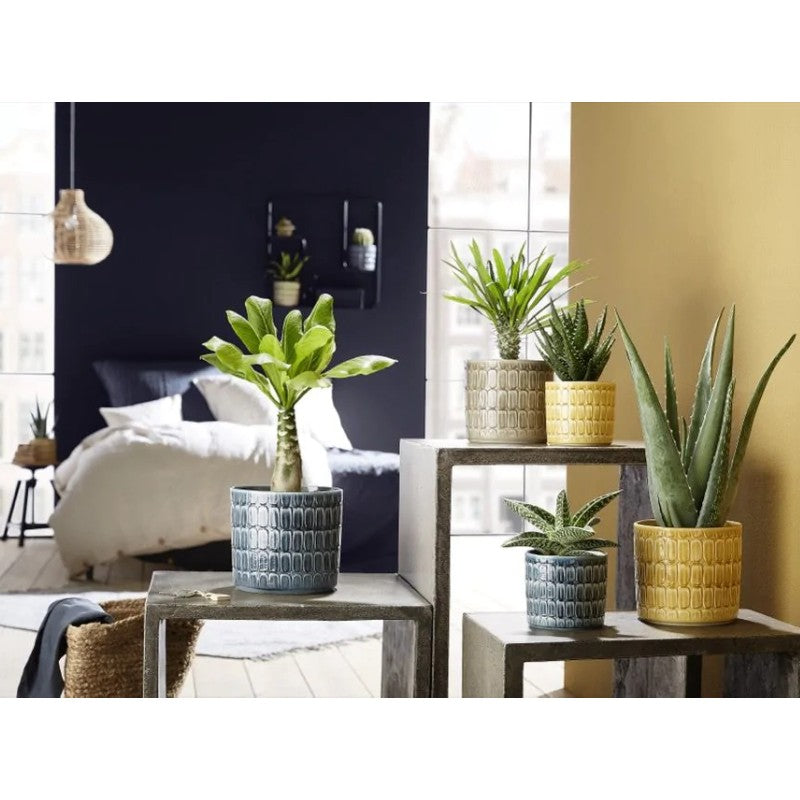 Scheurich 878 Lagom Cover Pot Lifestyle