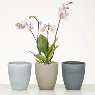 Scheurich 620/15 Cover Pot - Lifestyle