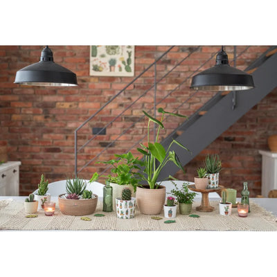 Scheurich 866/12 Corteza Cover Pot - Piementa Lifestyle