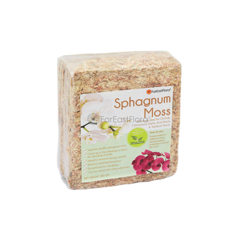 Chilean Sphagnum Moss (8L) - 100g