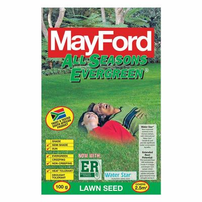 Mayford Seeds Turf - All Seasons Evergreen