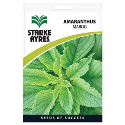 Starke Ayres Seeds V12000 Amaranthus Marog