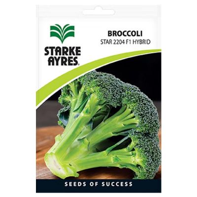 Starke Ayres Seeds V2204 Broccoli Star Sprouts