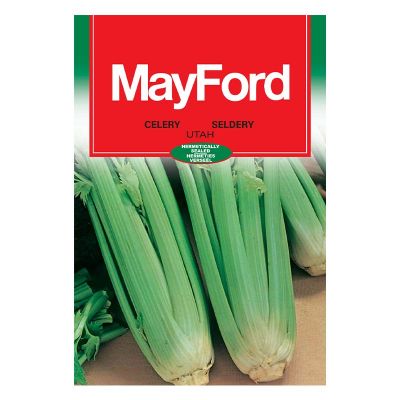 Mayford Seeds Celery - Utah