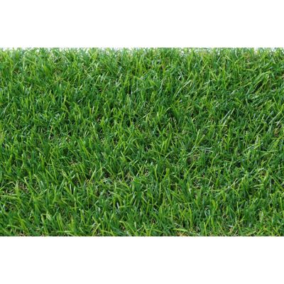 Standard Artificial Carpet Grass DEQZT (1M x 5M)