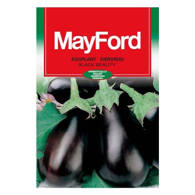 Mayford Seeds Eggplant - Black Beauty