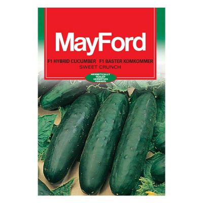 Mayford Seeds Cucumber - Sweet Crunch