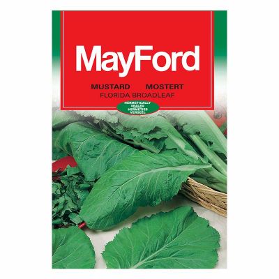 Mayford Seeds Mustard - Florida Broadleaf