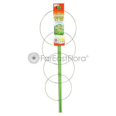 Flower Support with Circle Wire (900X8mm)