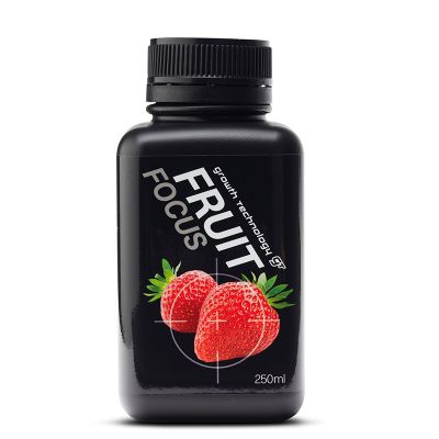 GT Fruit Focus (250ML)