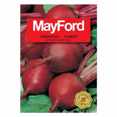 Mayford Seeds Garden Beet - Detroit Dark Red