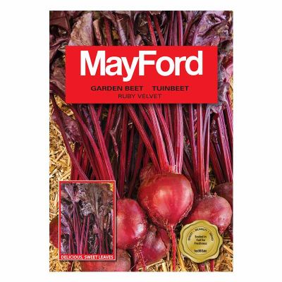 Mayford Seeds Garden Beet - Ruby Velvet