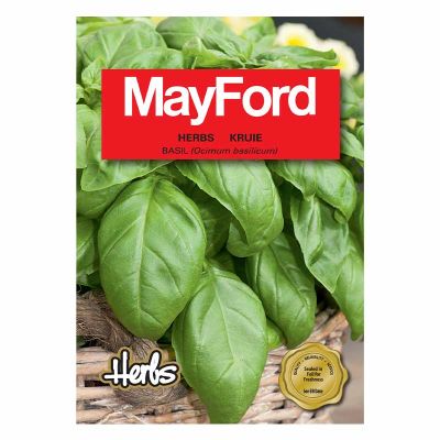 Mayford Seeds  Basil