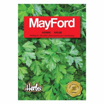 Mayford Seeds Parsley (Plain)
