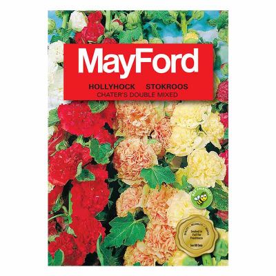Mayford Seeds Hollyhock - Charters Double Mixed