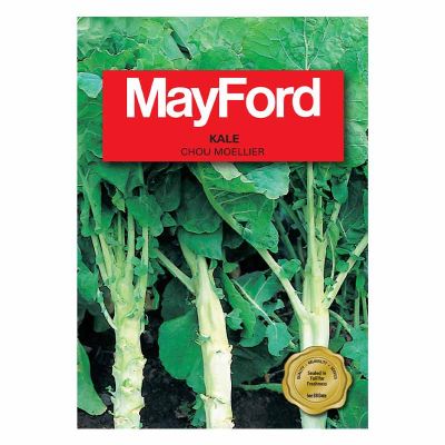 Mayford Seeds Kale Chou Moellier