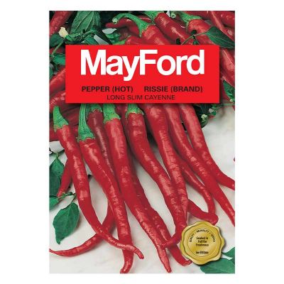 Mayford Seeds Hot Pepper - Long Slim Cayene