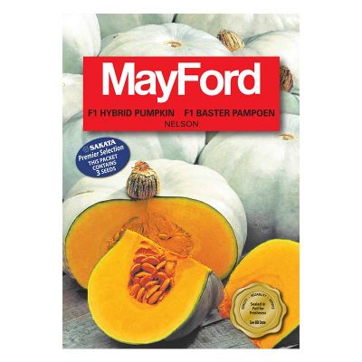 Mayford Seeds Pumpkin - Nelson