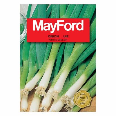 Mayford Seeds Spring Onion - White Welsh