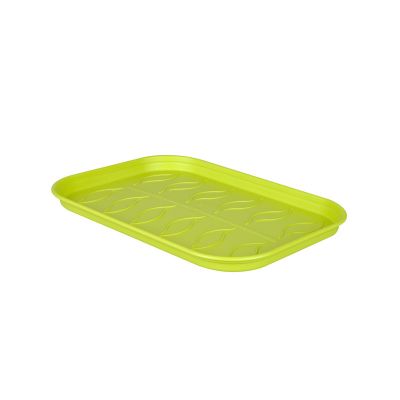 Green Basics Grow Saucer (M) - Lime Green