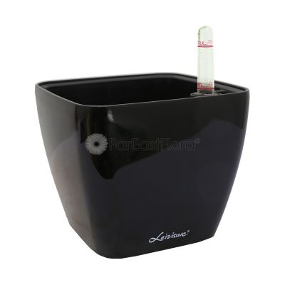 Leizisure HG-3108 Self-Watering Pot (L15cmxW15cmxH13cm) - Black