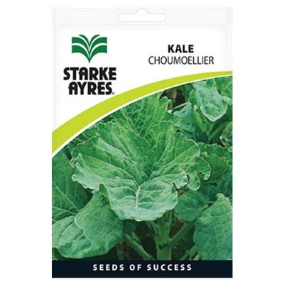 Starke Ayres Seeds Kale Choumoellier