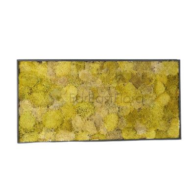 Moss Wall Art - Rectangle 0105 (L100xH50cm)