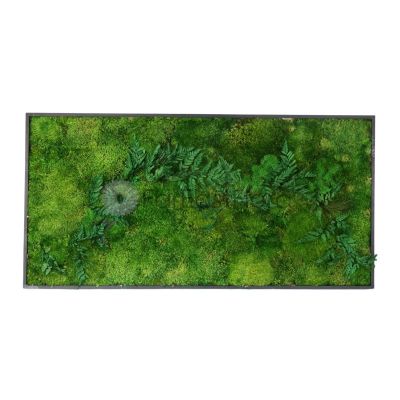Moss Wall Art With Plant - Rectangle 0102 (L100xH50cm)