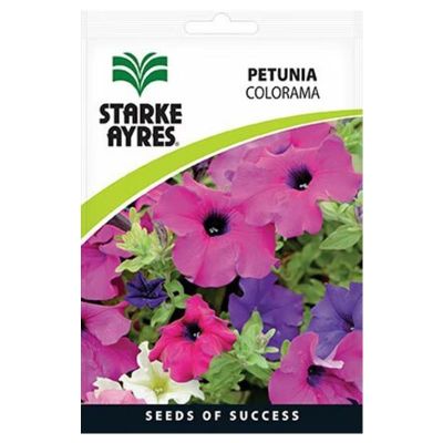 Starke Ayres Seeds F6523 Petunia Colorama