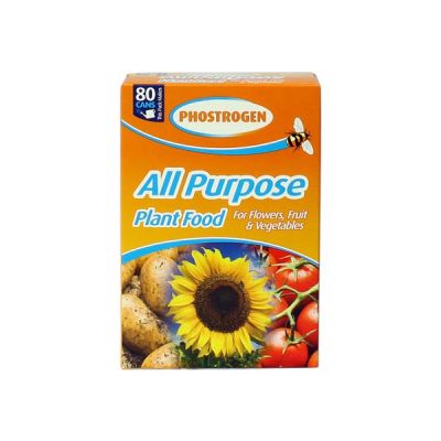 Phostrogen Plant Food (800g)