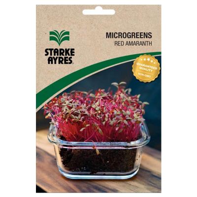 Starke Ayres Seeds V12002 Amaranthus Red Microgreens