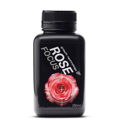 GT Rose Focus (250ML)