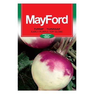 Mayford Seeds Turnip - Early Purple Top Globe