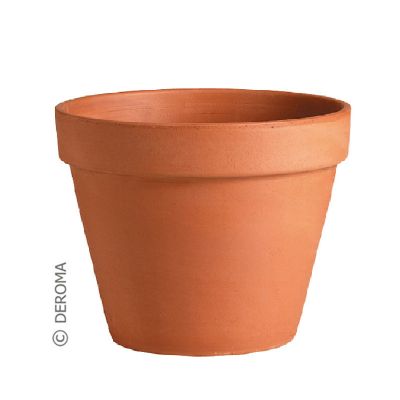 Deroma Vaso Terracotta Pot (19cm)