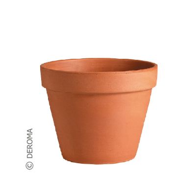 Deroma Vaso Terracotta Pot (5cm)