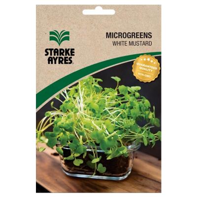 Starke Ayres Seeds V3042 White Mustard Microgreens 
